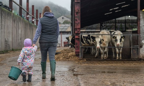 A woman holding a child's hand as they walk across a farmyard.
